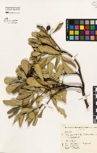 SW_BNB_s3080-03858_IMG-0000000001