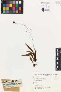 SW_BNB_s3080-03863_IMG-0000000001