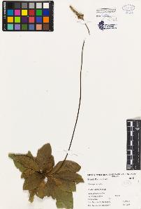 SW_BNB_s3080-03869_IMG-0000000001