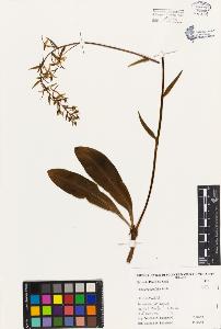SW_BNB_s3080-03871_IMG-0000000001