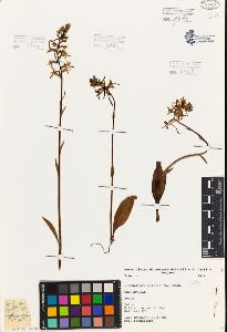 SW_BNB_s3080-03875_IMG-0000000001