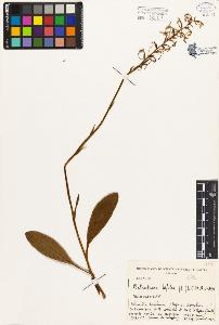 SW_BNB_s3080-03876_IMG-0000000001