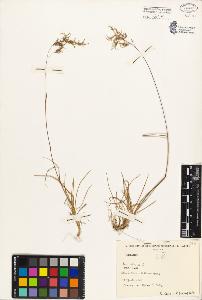 SW_BNB_s3080-03881_IMG-0000000001