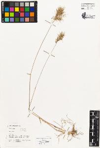 SW_BNB_s3080-03887_IMG-0000000001