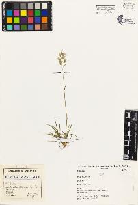 SW_BNB_s3080-03890_IMG-0000000001