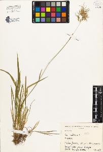 SW_BNB_s3080-03891_IMG-0000000001