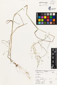 SW_BNB_s3080-03897_IMG-0000000001