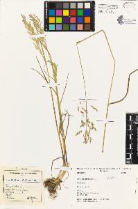SW_BNB_s3080-03901_IMG-0000000001