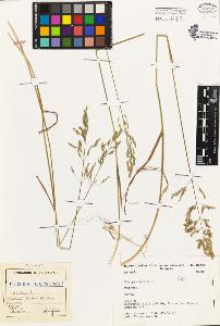 SW_BNB_s3080-03903_IMG-0000000001