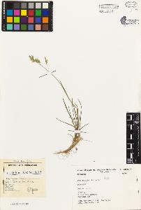 SW_BNB_s3080-03904_IMG-0000000001