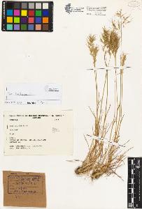 SW_BNB_s3080-03906_IMG-0000000001