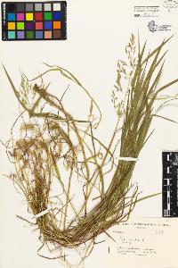 SW_BNB_s3080-03908_IMG-0000000001