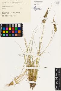SW_BNB_s3080-03910_IMG-0000000001