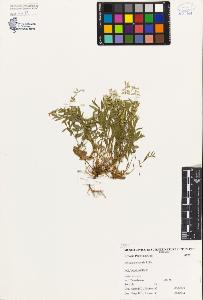 SW_BNB_s3080-03912_IMG-0000000001