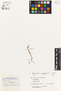 SW_BNB_s3080-03913_IMG-0000000001