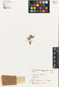 SW_BNB_s3080-03915_IMG-0000000001