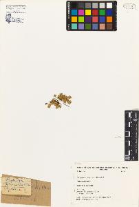 SW_BNB_s3080-03917_IMG-0000000001
