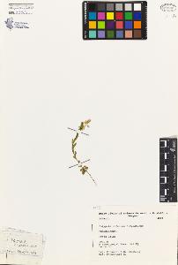 SW_BNB_s3080-03918_IMG-0000000001