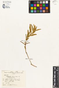 SW_BNB_s3080-03925_IMG-0000000001