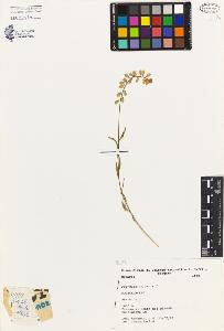 SW_BNB_s3080-03937_IMG-0000000001