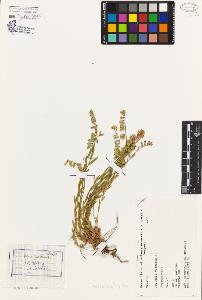 SW_BNB_s3080-03938_IMG-0000000001