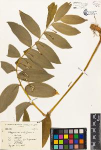 SW_BNB_s3080-03942_IMG-0000000001