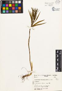SW_BNB_s3080-03947_IMG-0000000001