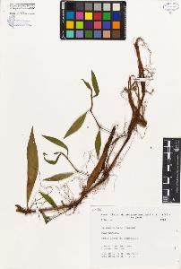 SW_BNB_s3080-03958_IMG-0000000001