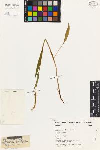 SW_BNB_s3080-03970_IMG-0000000001