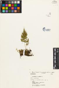 SW_BNB_s3080-03979_IMG-0000000001