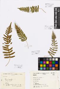 SW_BNB_s3080-03981_IMG-0000000001