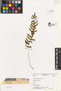 SW_BNB_s3080-03982_IMG-0000000001