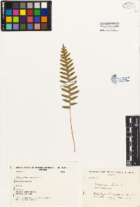 SW_BNB_s3080-03989_IMG-0000000001
