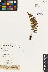 SW_BNB_s3080-03990_IMG-0000000001