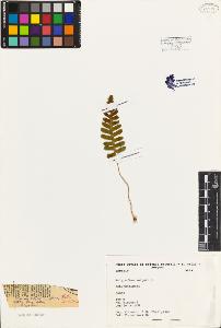 SW_BNB_s3080-03994_IMG-0000000001