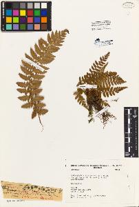SW_BNB_s3080-04000_IMG-0000000001