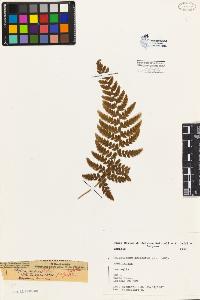 SW_BNB_s3080-04003_IMG-0000000001