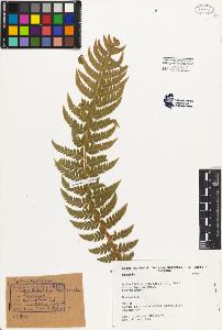 SW_BNB_s3080-04010_IMG-0000000001