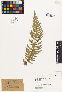 SW_BNB_s3080-04011_IMG-0000000001