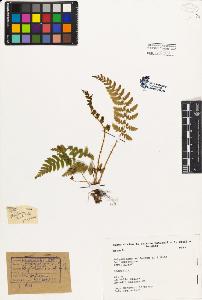 SW_BNB_s3080-04013_IMG-0000000001