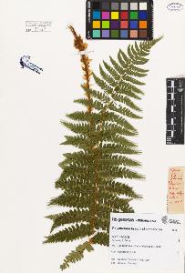 SW_BNB_s3080-04014_IMG-0000000001