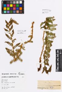 SW_BNB_s3080-04015_IMG-0000000001