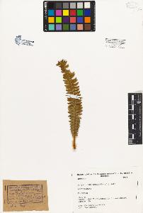 SW_BNB_s3080-04023_IMG-0000000001