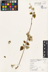 SW_BNB_s3080-04031_IMG-0000000001