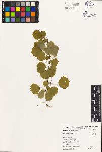 SW_BNB_s3080-04035_IMG-0000000001