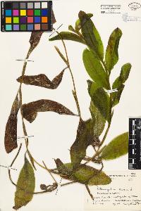 SW_BNB_s3080-04037_IMG-0000000001