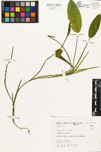 SW_BNB_s3080-04038_IMG-0000000001
