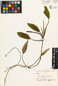 SW_BNB_s3080-04039_IMG-0000000001