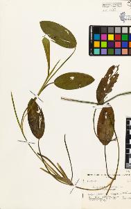 SW_BNB_s3080-04040_IMG-0000000001