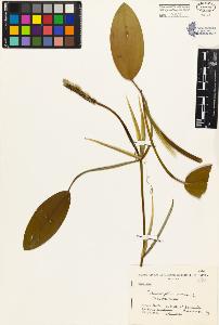 SW_BNB_s3080-04041_IMG-0000000001